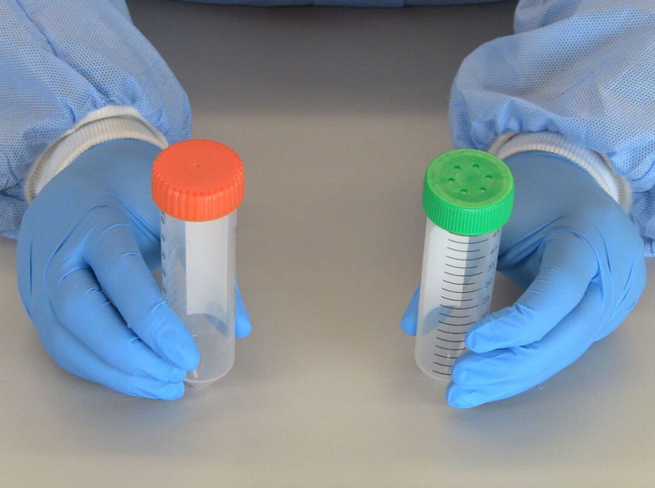 A picture of two gloved hands, each holding conical tubes: the right is covered with a green cap with holes, the left is covered with a red cap without holes.